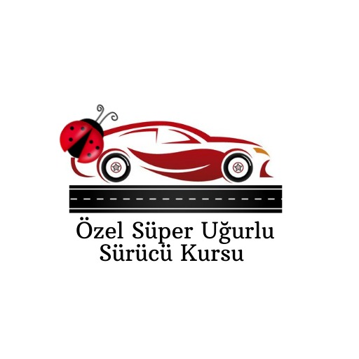 https://www.superugurlusurucukursu.com/images/icons/logo.png