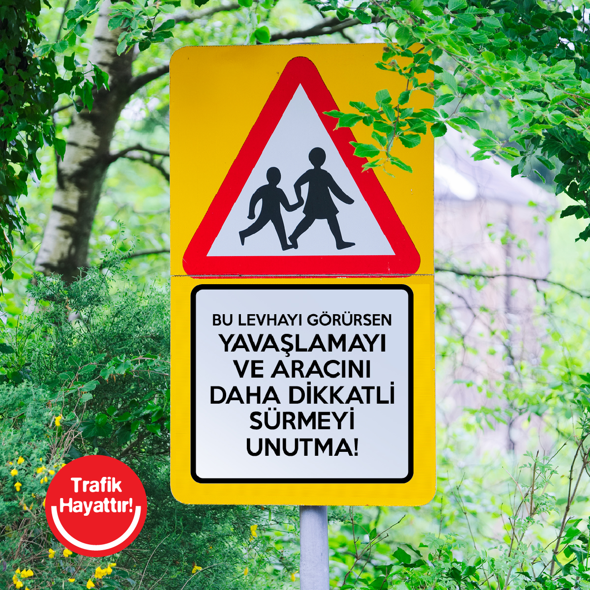 Sarıgüllük Sürücü Kursu 